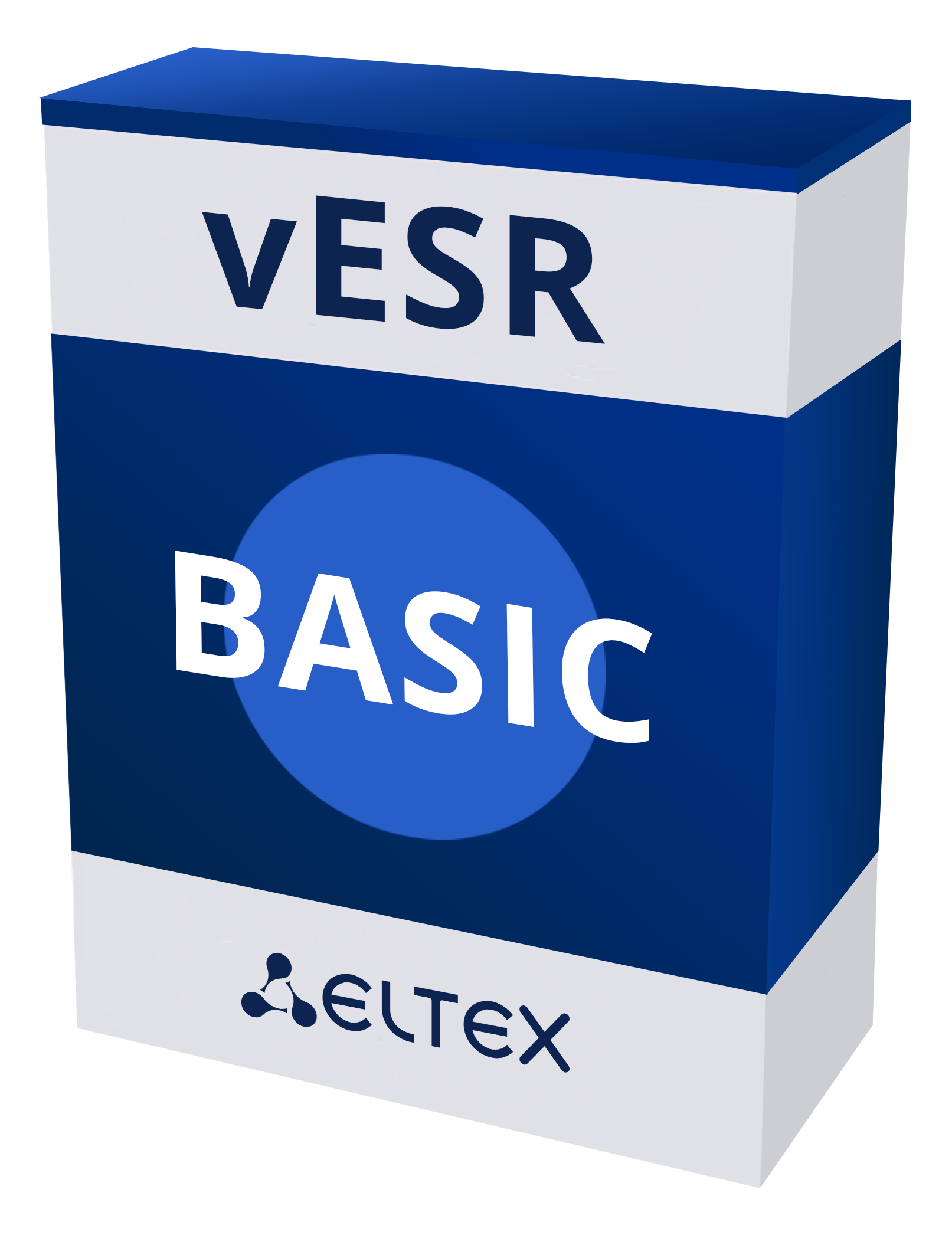 Опция программный сервисный маршрутизатор vESR BASIC