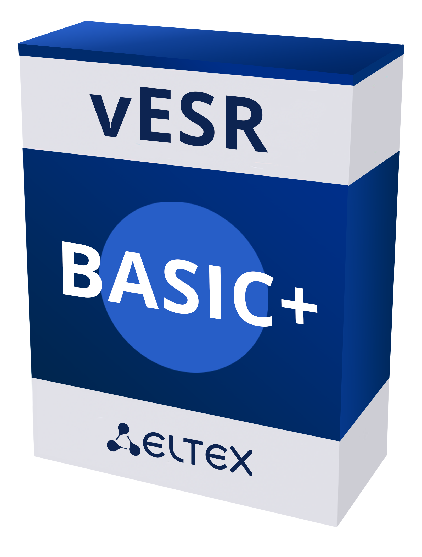 Опция программный сервисный маршрутизатор vESR BASIC+