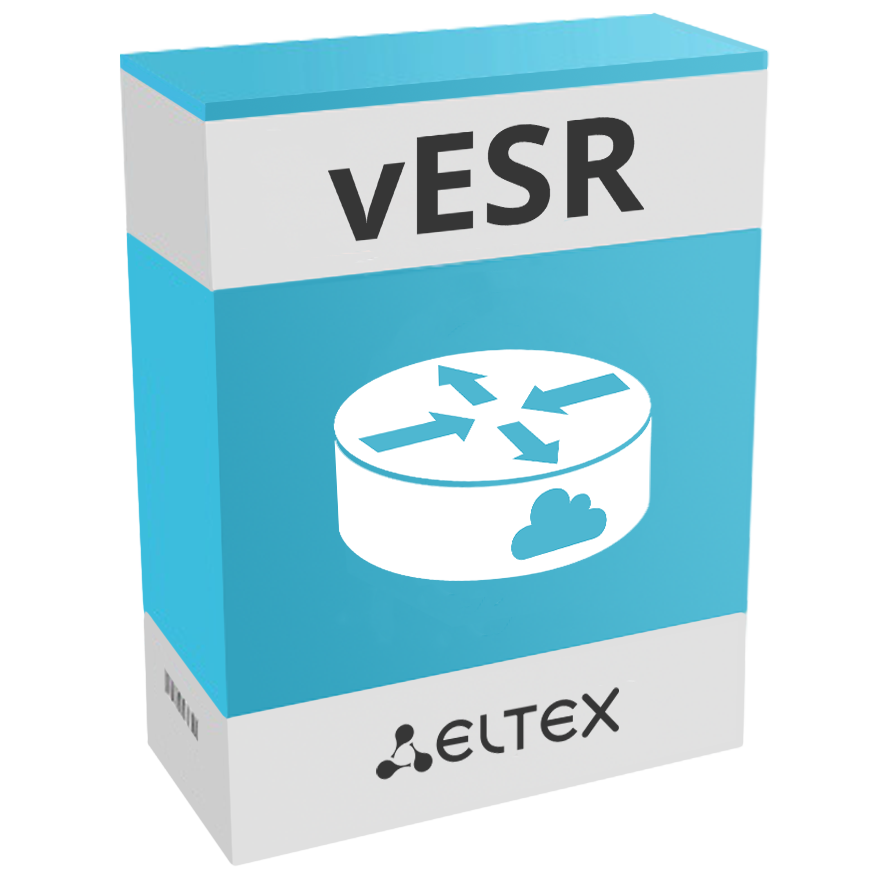 Опция программный сервисный маршрутизатор vESR STANDARD