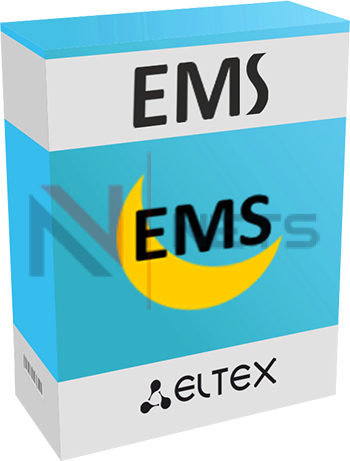 Опция EMS-MES-access