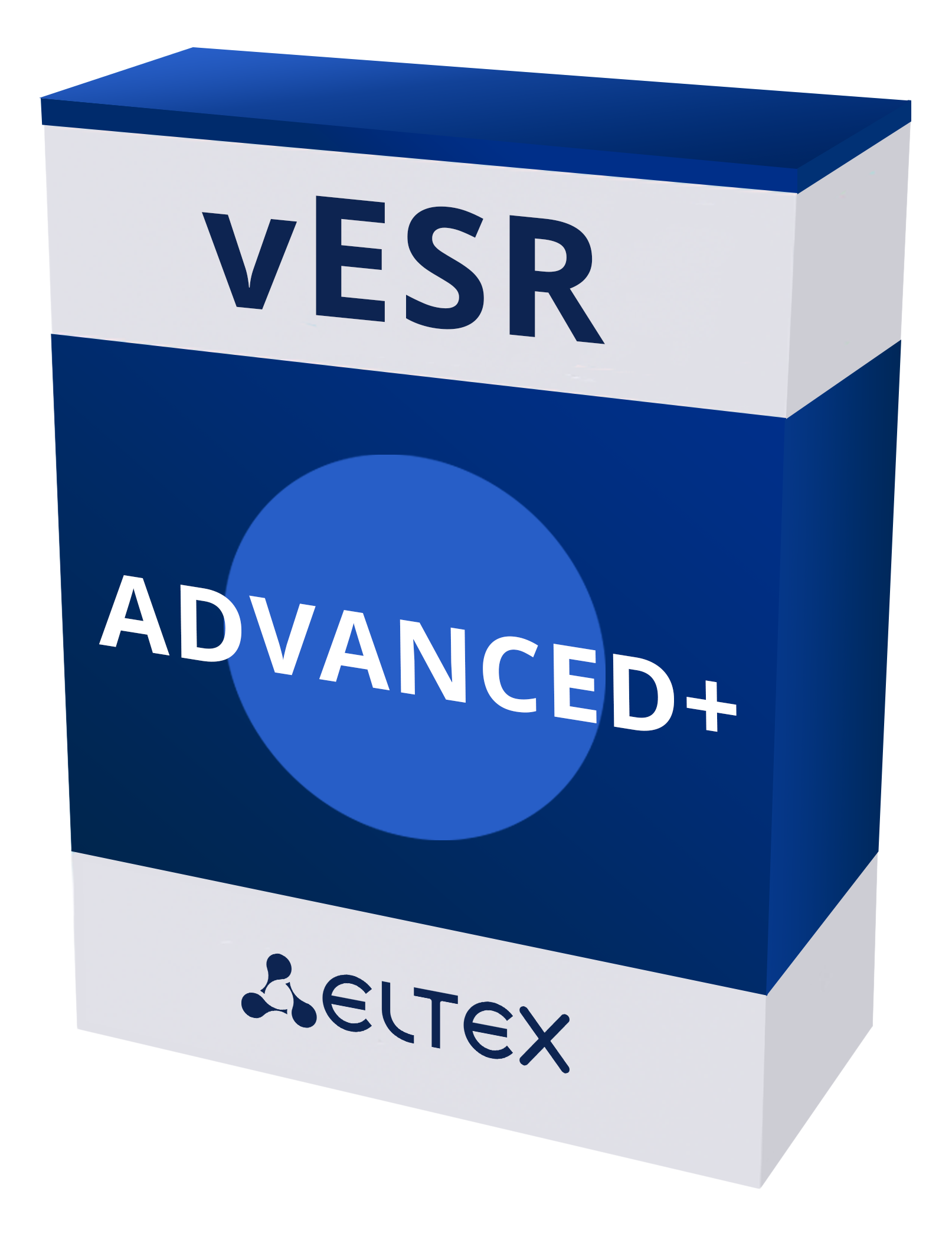 Опция программный сервисный маршрутизатор vESR ADVANCED+