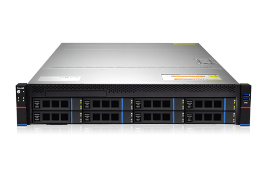 Серверная платформа Gooxi  ASR201-D08R-NV 2