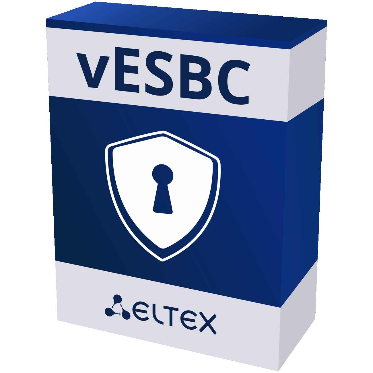 Опция vESBC-CPS-60 пограничного контроллера сессий vESBC