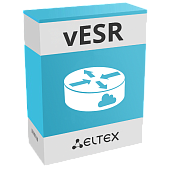 Опция программный сервисный маршрутизатор vESR STANDARD
